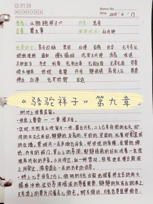 骆驼祥子读书笔记摘抄1~24章