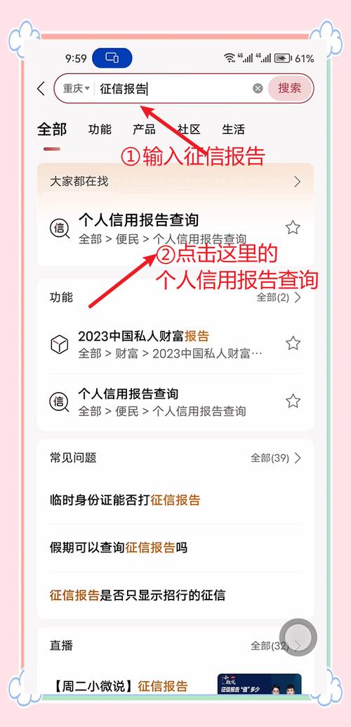 美团月付查询征信记录