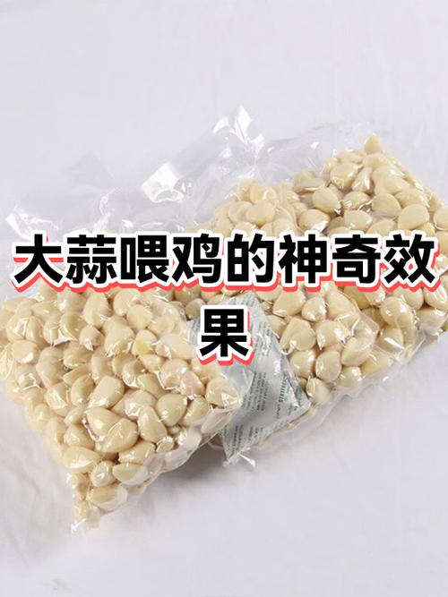 红糖加大蒜喂鸡有什么好处