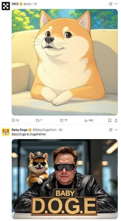 狗狗币最高价