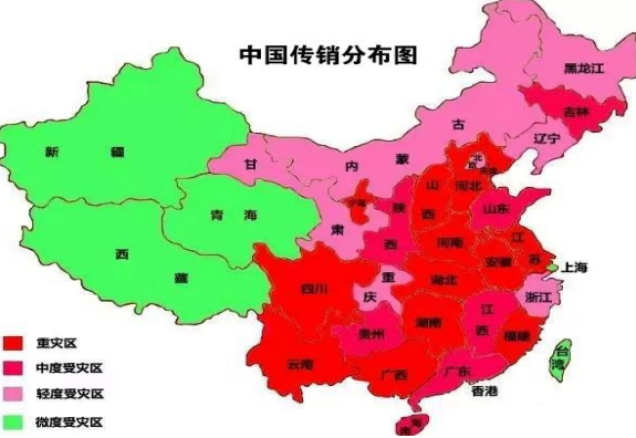 中国传销公司排名