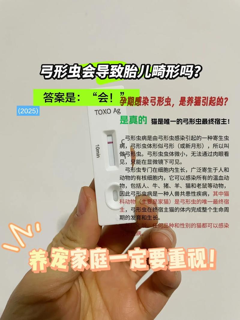 床上有小黑虫像蚂蚁