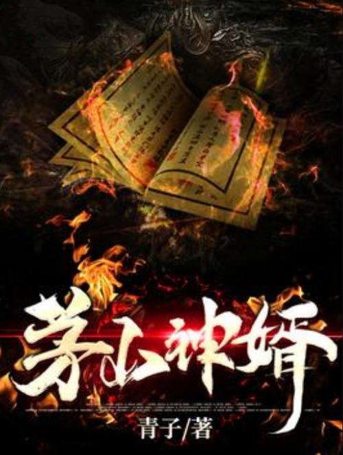 茅山女婿