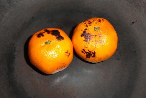 橘子微波炉吃法