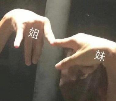 姐姐可以妹妹也可以表情包