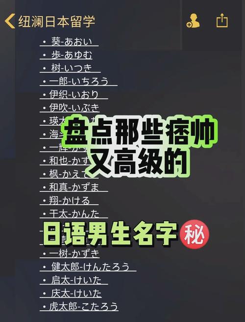 蜡笔小新跑酷日语版