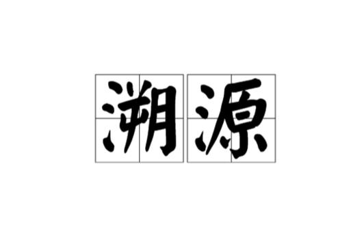 溯源是什么意思