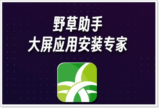 野草助手电视家口令