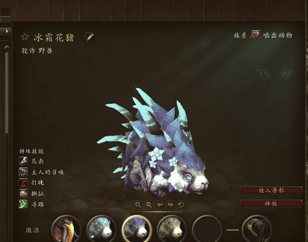 魔兽世界怀旧熊怎么抓宝宝