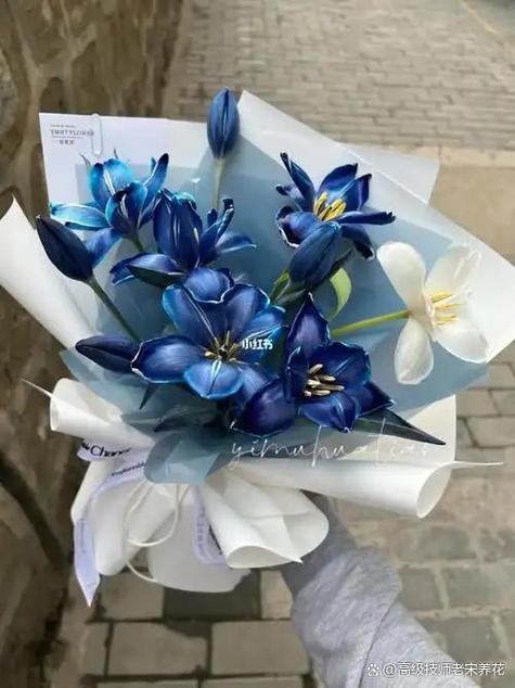 blued下载