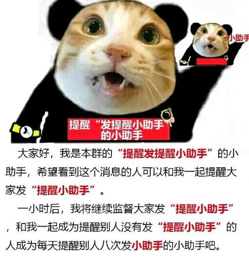 QQ添加表情包