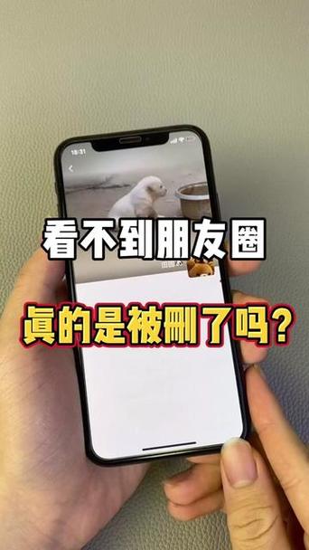 如果朋友圈被屏蔽了会显示什么