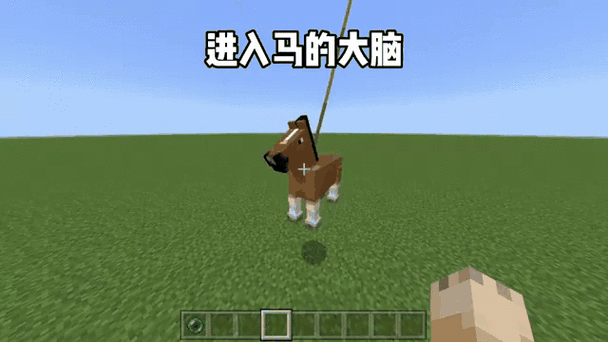 我的世界马突然不见了
