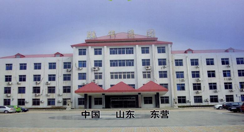 胜利油田胜华实业有限责任公司