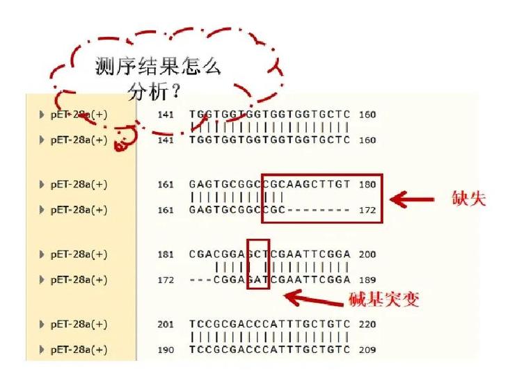 电脑屏幕突然变窄了,是什么情况