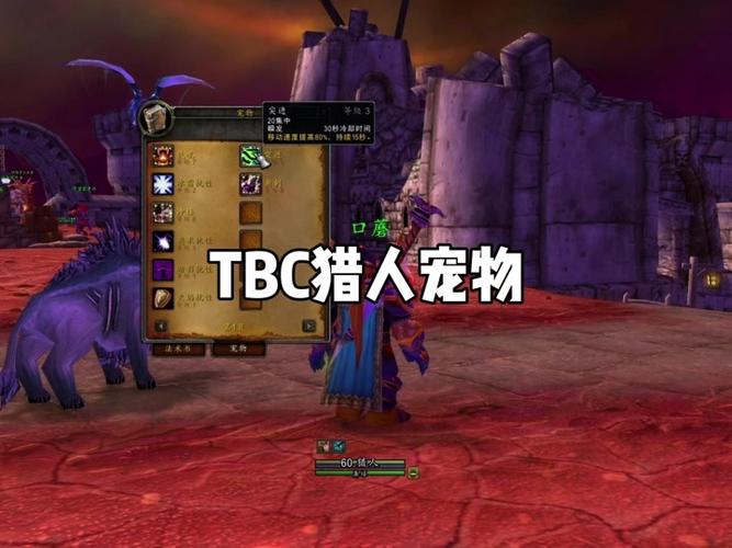 怀旧服tbc小宠物