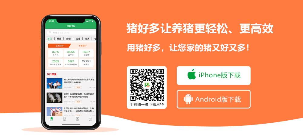 养猪猪app
