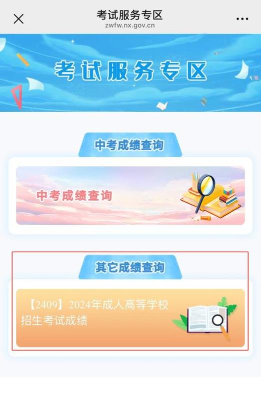 宁夏成人教育考试院官网