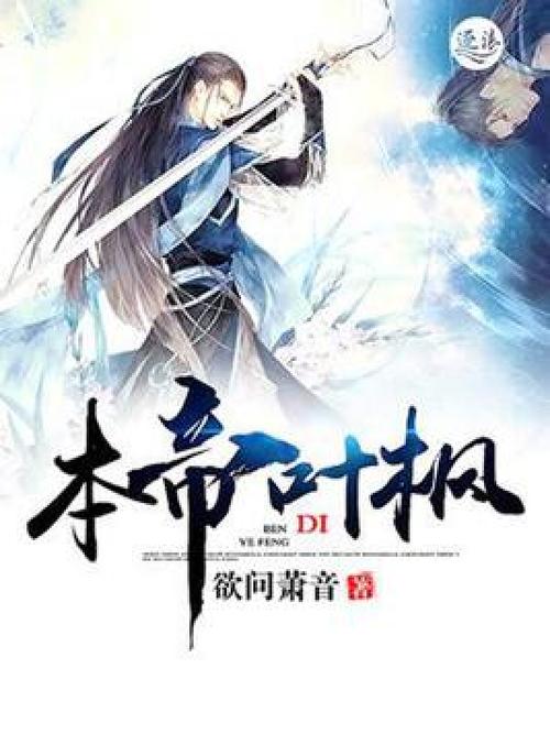 叶枫小说免费阅读全文