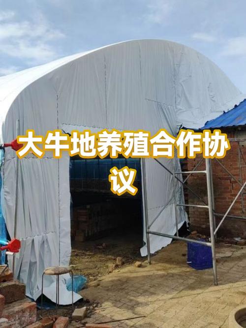 网上养殖合作靠谱吗