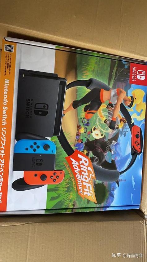 switch账号可以借给别人吗