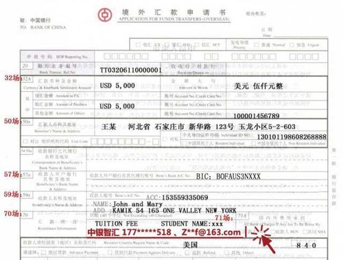 境外汇款哪个银行合适