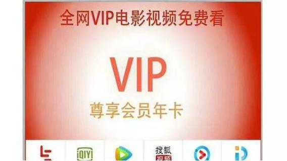 视界家vip视频