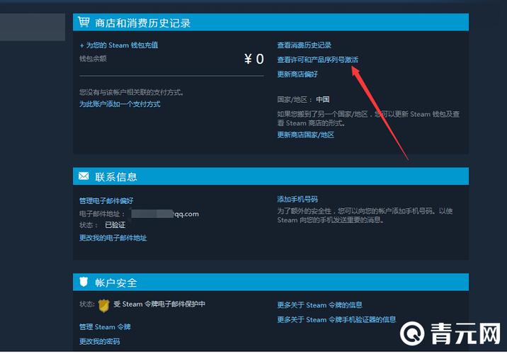 steam账号记录查看方法