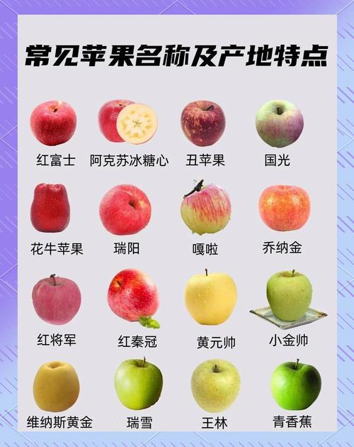 苹果se是什么意思