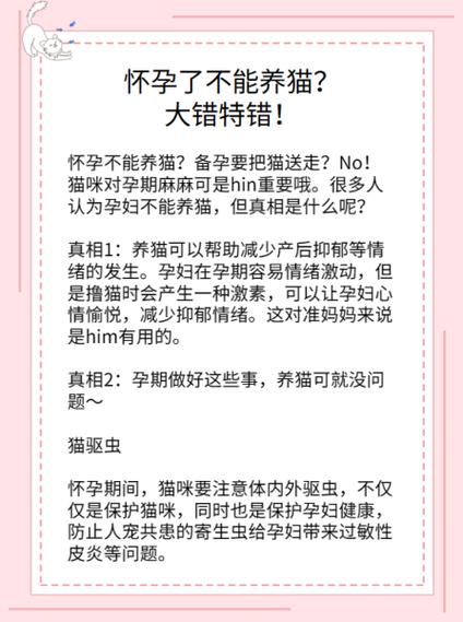 怀孕了能养猫吗