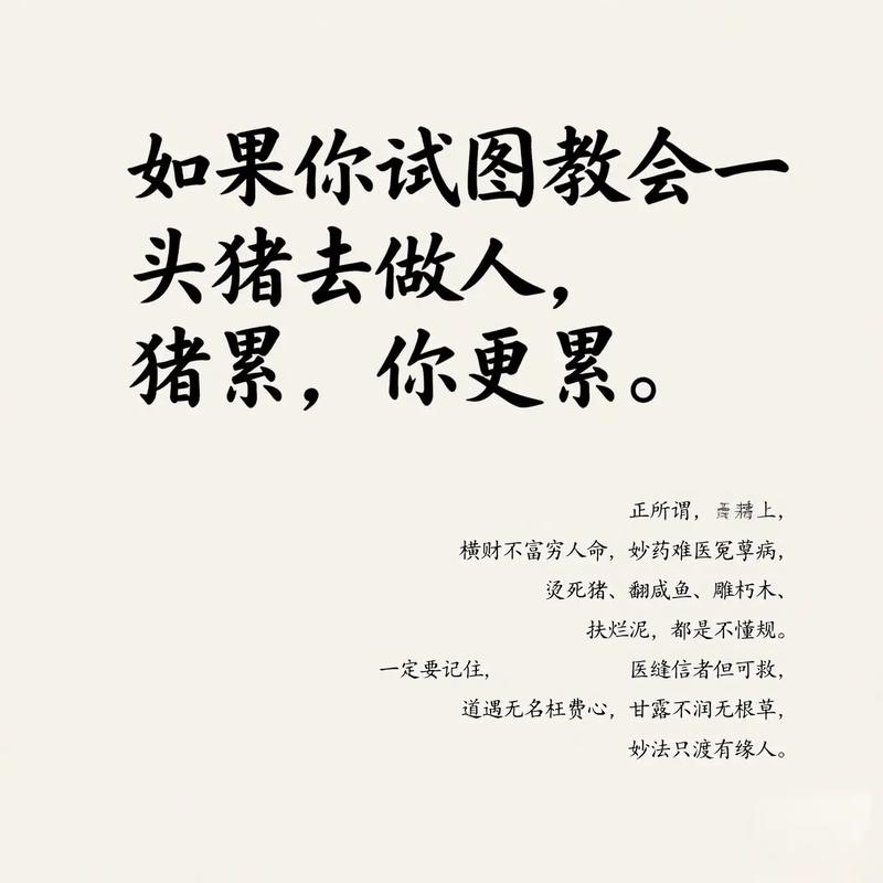 养猪最火走心的句子