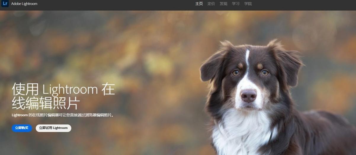 为什么竖拍的照片是横的