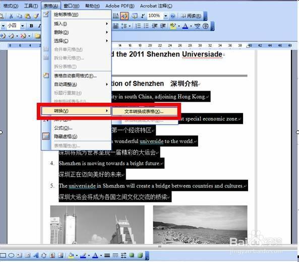 电子表格转换成word文档