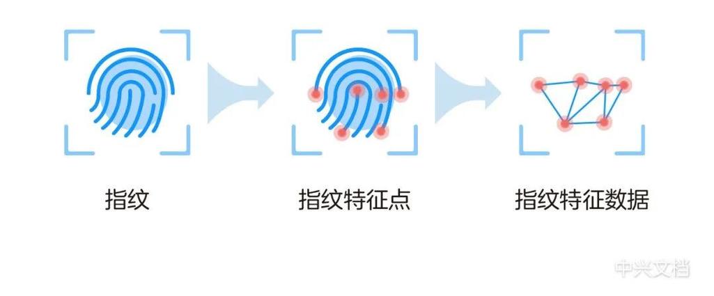 nova7se有指纹识别吗