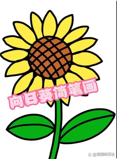 向日葵简易版