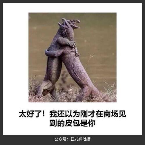 网上那些笑死人的沙雕图片