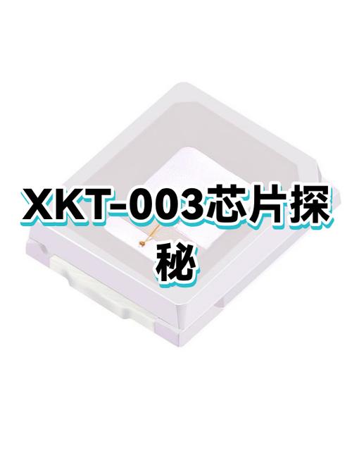 小红书视频缓存文件在哪