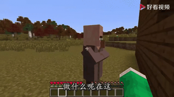 我的世界如何让村民上车