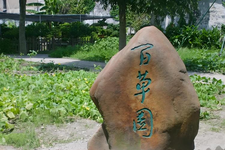 石家庄神农百草园怎么样
