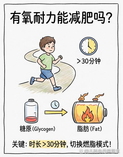 有氧耐力属于燃脂吗