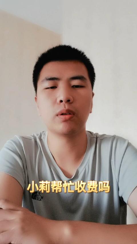 小莉帮忙收费标准
