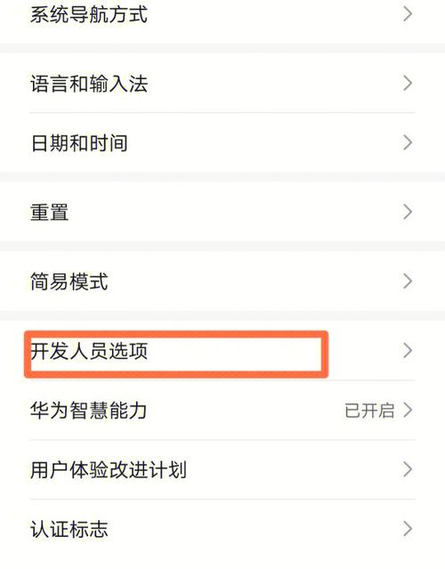华为手机怎么启动开发者模式