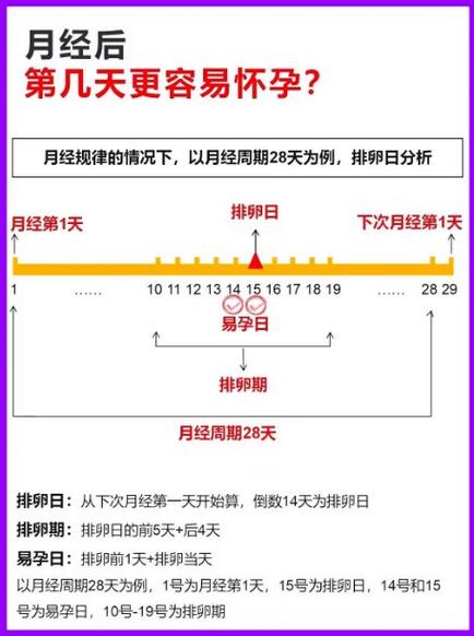 大姨妈走后第几天容易怀孕