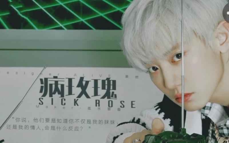 EXO橙光病玫瑰破解版完结