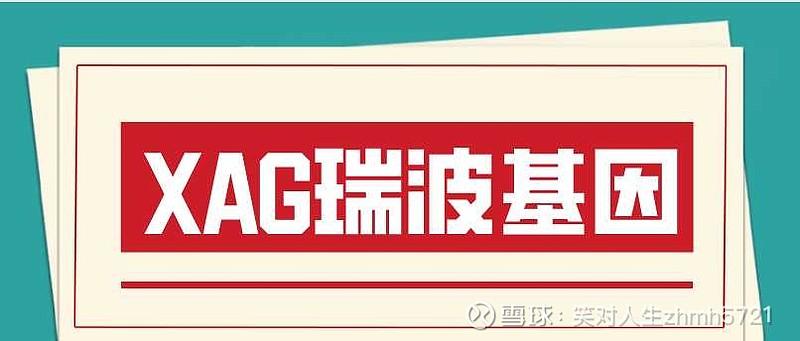 瑞波基因币