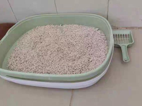更换猫砂盆的地方猫找得到吗