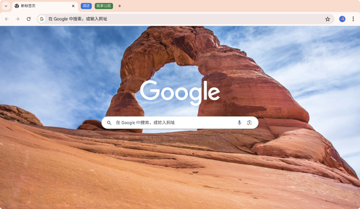 chrome电脑版下载