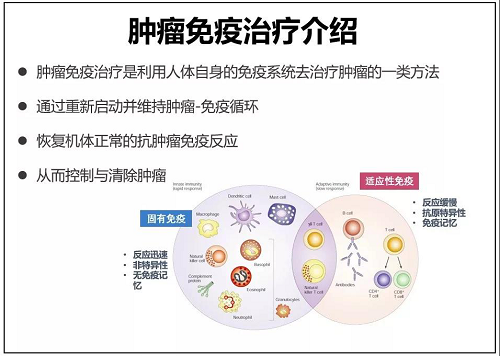 免疫治疗肿瘤效果好吗