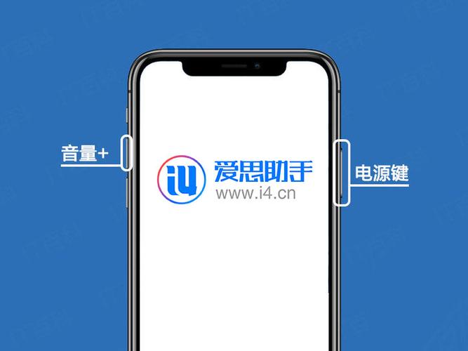 iPhone XR信号
