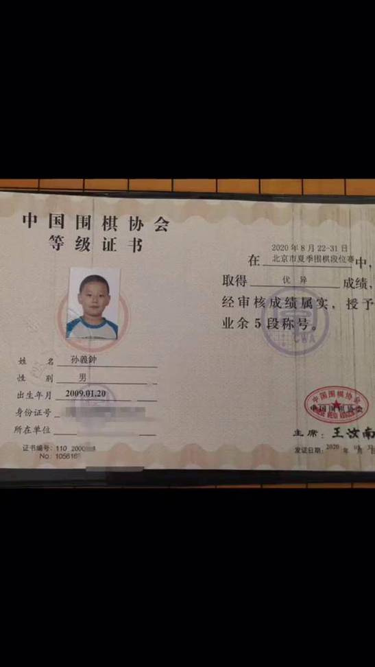 中国围棋协会等级证书查询